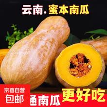 京喜加 正宗精选云南高原蜜本南瓜甜糯 出口级优选 7斤