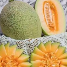 正宗山东哈密瓜晓蜜17新鲜现摘当季水果甜瓜 3-3.5斤4.9元（需领券）