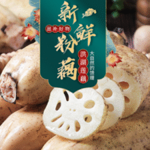 国家地理标志产品！京鲜生 湖北洪湖莲藕 3斤（3-5节）￥15.90 6.9折