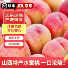 龙多鲜山西水蜜桃 现摘新鲜当季应季时令水果整箱桃子脆甜软硬两吃 整箱5斤 单果120-150g 净4.5斤15.8元（需领券）