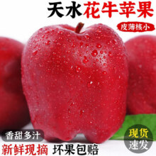 元珍鲜诚 甘肃天水花牛苹果 新鲜水果 应季生鲜 孕妇宝宝辅食粉平果 5斤装（净果4.5斤）单果70mm+24.9元 (满29减6,券后省5,月销6000+)