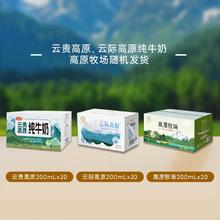 认养 高原牧场 全脂纯牛奶 200ml*20盒