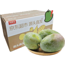 京鲜生 攀枝花凯特芒果 净重8.5斤 带箱9斤 单果400g+ 生鲜水果源头直发18.8元（需领券）