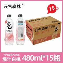元气森林 混合口味气泡水 480ml*15瓶 - 某猫特价￥34.20 4.6折