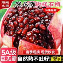 庾丰 四川会理突尼斯软籽石榴 新鲜水果整箱生鲜 孕妇红石榴团购送礼 净重4.5斤 单果250g+24.8元 (满29减10,券后省5,月销3000+)