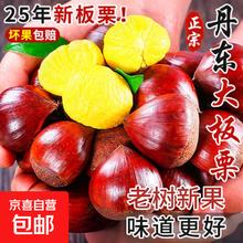 丹东新鲜板栗生板栗 25年新下树 2斤 送栗爪券后5元
