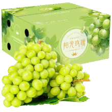 SMVP阳光玫瑰葡萄礼盒 5斤装一级果8-12g净重4.5斤+15.79元