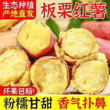 花慕辰 正宗板栗红薯粉糯香甜干粉干面 4.5斤装 大果14.95元（需买2件，需用券）