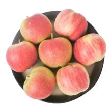 稻香村 稻香金牌月饼礼盒725g 10饼10味券后19.9元