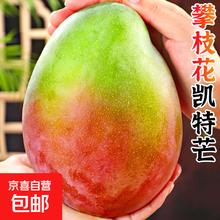 四川攀枝花凯特芒果4-5斤单果200g起券后9.9元