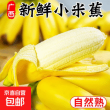 正宗广西小米蕉 净重9斤14.9元（需领券）