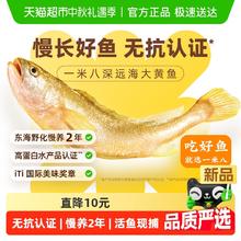 1米8 一米八大黄鱼三去深远海黄花鱼330g+270g+显眼包119元