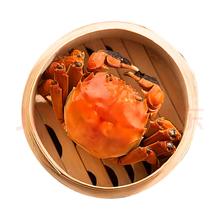 8只装 全母2.3-2.6两 大闸蟹现货（死蟹包赔）125元