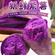新鲜沙地紫薯一箱 4.5斤（净重）8.64元（88vip全能卡6.64元）