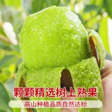 天降+金币11.71！猕猴桃5斤！单果90-110g11.71元