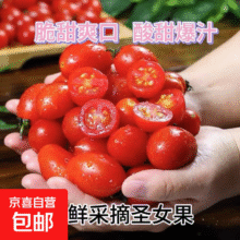 新鲜采摘圣女果樱桃小番茄蔬菜 带箱250g1元（买一送一，到手两件，实付 2）