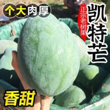 天降福利：攀枝花 凯特芒果 4.51斤9.61元包邮+110淘金币（需领券）