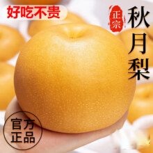 秦悦仙果鲜 山东秋月梨 新鲜水果冰糖梨中秋送礼整箱  精选5斤巨无霸【350g+】净重4.516.9元（需领券）