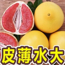 下拉金币11福建平和红心柚5斤11元