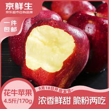 京鲜生 甘肃天水花牛苹果 净重4.5斤 单枚170g起 源头直发券后19.9元