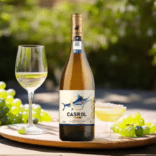 法国进口！Casrol 卡露传奇 波尔多AOC级 蓝鰭金枪鱼半甜葡萄酒750mL￥39.13 比上一次爆料降低 ￥78.26