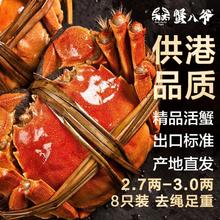 蟹八爷 大闸蟹全母1.8两-2.1两8只装 生鲜礼盒 源头直发