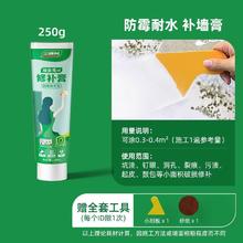 三棵树 SKSHU 墙面修补膏 250g 抗菌防霉耐水