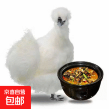 农家散养乌鸡煲汤食材生鲜鲜炖整鸡 800g*1买一送一29.9元（合14.95元/件）买一送一