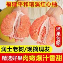福建平和正宗琯溪蜜柚5斤
