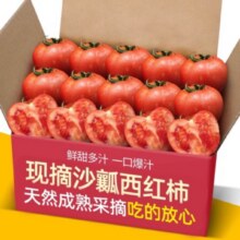 果乡趣 沙瓤西红柿 5斤12.51元（需领券）