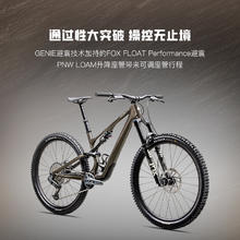 SPECIALIZED 闪电 STUMPJUMPER 15 EXPERT 碳纤维全避震山地自行车45990元