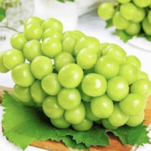 京鲜生 阳光玫瑰葡萄 净重4.5斤 单果10-12g￥19.90 8.3折
