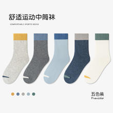波泰熊 儿童中大童中筒运动袜 5双装