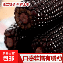 头茬新黑糯玉米新鲜现摘真空包装快速锁鲜甜糯黏黑玉米代餐 黑玉米4支180-200克1.99元