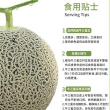 限移动端、京东百亿补贴：京鲜生 净重4.5斤起 2-4枚 新鲜水果 源头直发21.5元