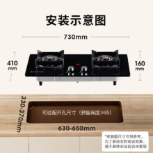 艾美特 钢化玻璃双眼灶燃气灶 一级能效 4.8kW防风锅架+防烫提醒 天然气299.2元包邮