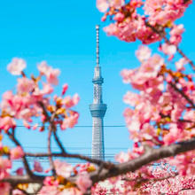 国庆可订直飞上海日本东京大阪神户往返4-6天单机票自由行旅游1468元