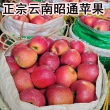 云南邵通脆甜苹果5斤(净重4.5斤)15.67元
