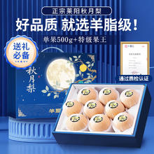 秦悦仙果鲜 山东秋月梨新鲜水果冰糖梨整箱净重4.5斤22元