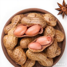 亿生旺 五香味卤汁花生果500g/袋2.5元（需领券）