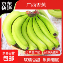 广西高山甜香蕉当季新鲜生鲜水果青蕉现摘现发水果源头产地直发 【2斤装】广西高山甜香蕉3.45元（需领券）