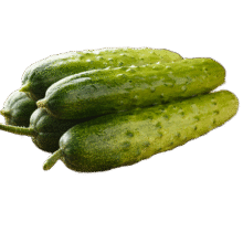 古寨山普罗旺斯西红柿自然熟沙瓢番茄新鲜蔬菜 4.5斤净重17.9元 (券后省9)