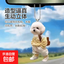 创意小泰迪背包亚克力平面挂件车载挂饰包包钥匙扣ins风送闺蜜 泰迪熊【黄色款】 1个装1.01元