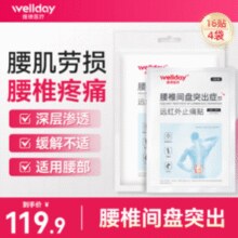 WELLDAY 维德医疗 腰椎间盘突出腰肌劳损症膏 16贴/共4袋￥29.90 2.5折