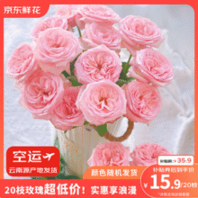 京东鲜花 玫瑰花鲜切花 随机色10枝+送10枝15.9元包邮