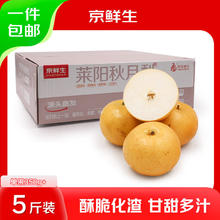 京鲜生 山东莱阳秋月梨 净重2.5kg 单果300g以上 生鲜水果 源头直发券后24.8元