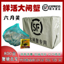 蟹趣 洪泽湖六月黄鲜活大闸蟹 1.5~1.8两*6只47.6元（需领券，叠加全能卡红包更低）