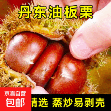 20点：京喜加  丹东鲜板栗 0.5斤  买一送一1.95元