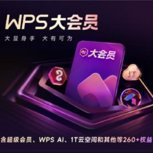 【会员升级包】账号中需要有WPS超级会员1116天或以上升级大会员3年85.5元