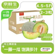 限移动端、京东百亿补贴：京鲜生 蜜蜂授粉牛三蜜瓜网纹瓜净重4.5-5斤 2-3粒